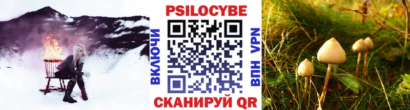 Галлюциногенные грибы ЛСД Купить где Звенигово